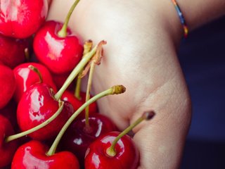 Обои рука, черешня, ягоды, вишня, ладонь, hand, cherry, berries, palm разрешение 4608x3072 Загрузить
