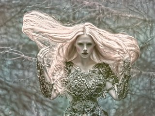 Обои арт, девушка, фантазия, agnieszka lorek, ophelia overdose, art, girl, fantasy разрешение 2048x1418 Загрузить