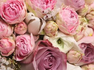 Обои цветы, мелодрама, красива, розы,  цветы, хорошенькая, роза, классная, красавица, роз, цветком, романтика, ницца, букет, lovely, романтик, for you, я люблю тебя, красивые, flowers, roses, pretty, rose, cool, beauty, flower, romance, nice, bouquet, romantic, i love you, beautiful разрешение 3840x2160 Загрузить