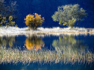 Обои деревья, озеро, осень, trees, lake, autumn разрешение 2048x1536 Загрузить