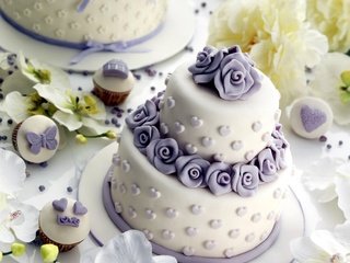 Обои свадьба, сладкое, орхидея, украшение, торт, кексы, розочки, wedding, sweet, orchid, decoration, cake, cupcakes, roses разрешение 1920x1175 Загрузить