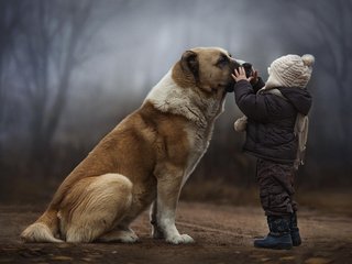 Обои лес, собака, дети, ребенок, дружба, forest, dog, children, child, friendship разрешение 1920x1200 Загрузить