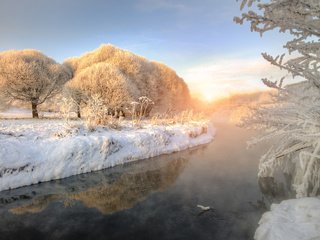 Обои деревья, река, природа, зима, утро, иней, trees, river, nature, winter, morning, frost разрешение 1920x1200 Загрузить