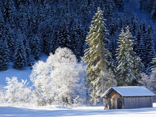 Обои деревья, снег, природа, лес, зима, домик, германия, бавария, trees, snow, nature, forest, winter, house, germany, bayern разрешение 2048x1369 Загрузить