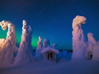 Обои ночь, деревья, снег, природа, лес, зима, домик, night, trees, snow, nature, forest, winter, house разрешение 1920x1200 Загрузить