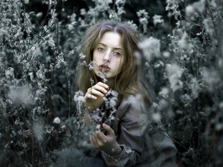 Обои цветы, greta larosa, природа, стиль, девушка, портрет, взгляд, модель, волосы, flowers, nature, style, girl, portrait, look, model, hair разрешение 4960x3307 Загрузить