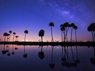 Обои ночь, река, отражение, пальмы, сша, гамак, флорида, эконлокхатчи, night, river, reflection, palm trees, usa, hammock, fl, econlockhatchee разрешение 1920x1200 Загрузить