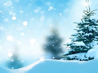 Обои снег, елка, зима, снежинки, сугробы, ёлочка, snow, tree, winter, snowflakes, the snow, herringbone разрешение 2880x1800 Загрузить
