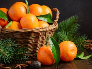 Обои новый год, ветки ели, украшения, mandarines, плоды, рождество, мандарины, дерева, мандаринка, merry, fir tree, new year, fir-tree branches, decoration, fruit, christmas, tangerines, wood, tangerine разрешение 2112x1188 Загрузить