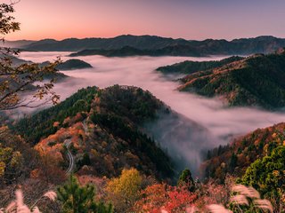 Обои японии, утренний туман, shiga prefecture, лесистые холмы, japan, morning mist, wooded hills разрешение 1920x1080 Загрузить