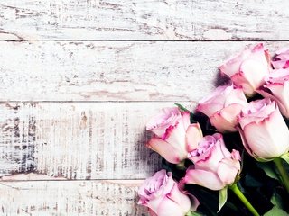 Обои розы, букет, розовые, roses, bouquet, pink разрешение 4800x2880 Загрузить