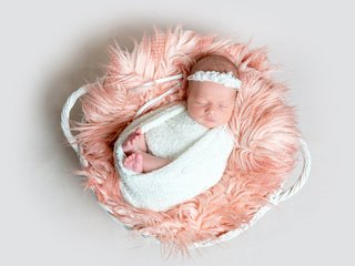 Обои спит, девочка, мех, корзинка, малышка, sleeping, girl, fur, basket, baby разрешение 5000x3786 Загрузить