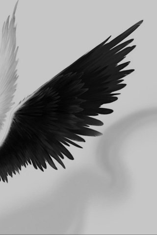 Обои девушка, крылья, черный, girl, wings, black разрешение 1920x1200 Загрузить