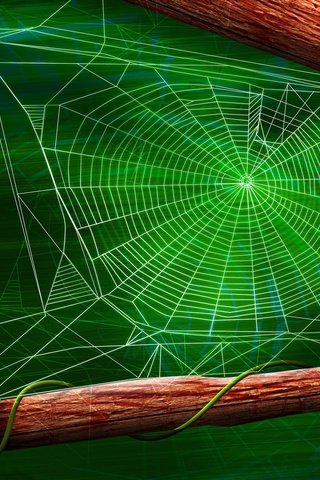 Обои зелёный, лист, паук, паутина, green, sheet, spider, web разрешение 1920x1200 Загрузить