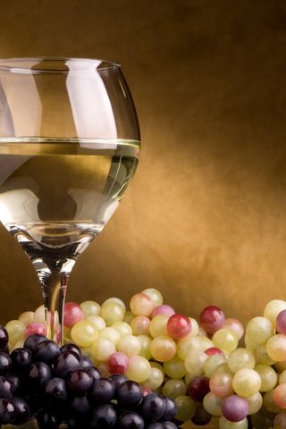 Обои виноград, вино, бокалы, grapes, wine, glasses разрешение 1920x1200 Загрузить