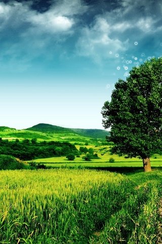 Обои дерево, зелёный, поле, tree, green, field разрешение 1920x1200 Загрузить