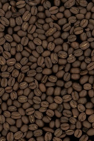 Обои обои, зерно, текстуры, макро, фото, фон, зерна, кофе, кофейные зерна, wallpaper, texture, macro, photo, background, grain, coffee, coffee beans разрешение 5000x3725 Загрузить