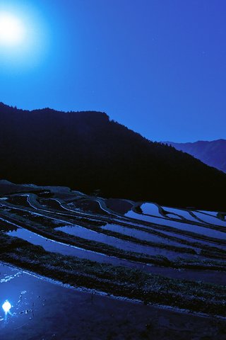Обои ночь, луна, япония, японии, moon, рисовое поле, night, the moon, japan, rice field разрешение 1920x1080 Загрузить