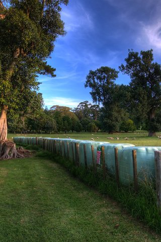 Обои небо, трава, облака, деревья, зелень, луг, ограда, the sky, grass, clouds, trees, greens, meadow, fence разрешение 1920x1080 Загрузить