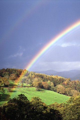 Обои холмы, природа, радуга, hills, nature, rainbow разрешение 1920x1200 Загрузить