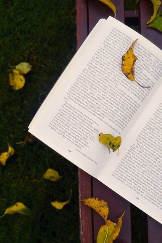 Обои трава, листья, осень, скамейка, листопад, книга, grass, leaves, autumn, bench, falling leaves, book разрешение 1920x1200 Загрузить