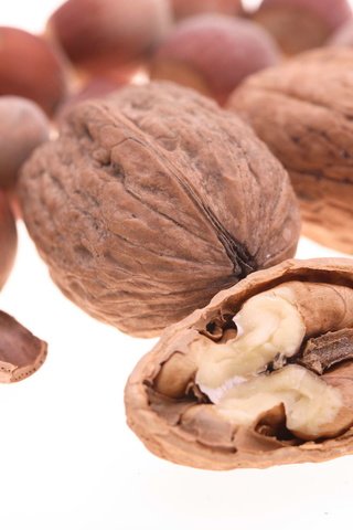 Обои орехи, белый фон, фундук, скорлупа, грецкие, грецкие орехи, ядра, nuts, white background, hazelnuts, shell, walnut, walnuts, kernel разрешение 1920x1280 Загрузить