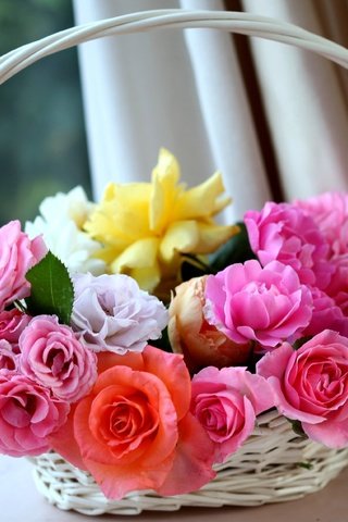 Обои cvety, rozovyj, oranzhevyj, korzinka, rozy, belyj разрешение 3600x2510 Загрузить