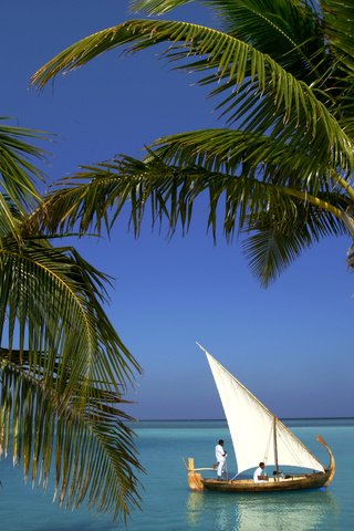 Обои пляж, лодка, пальмы, тропики, мальдивы, beach, boat, palm trees, tropics, the maldives разрешение 2500x1667 Загрузить