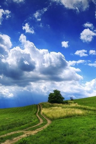 Обои дорога, облака, холмы, дерево, тучи, пейзаж, поле, сено, рава, rav, road, clouds, hills, tree, landscape, field, hay разрешение 1920x1080 Загрузить
