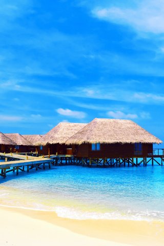 Обои пляж, бунгало, тропики, мальдивы, beach, bungalow, tropics, the maldives разрешение 2817x1878 Загрузить