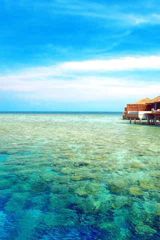 Обои море, бунгало, тропики, мальдивы, sea, bungalow, tropics, the maldives разрешение 5016x3356 Загрузить