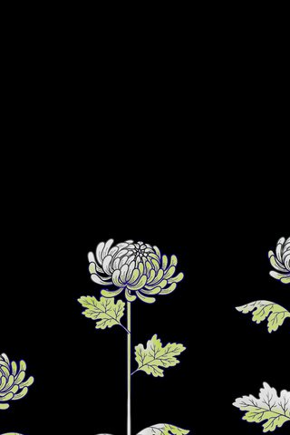 Обои цветы, рисунок, черный фон, flowers, figure, black background разрешение 2560x1600 Загрузить