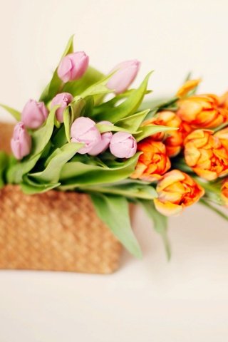 Обои цветы, букет, корзина, тюльпаны, тульпаны,  цветы, flowers, bouquet, basket, tulips разрешение 1920x1442 Загрузить