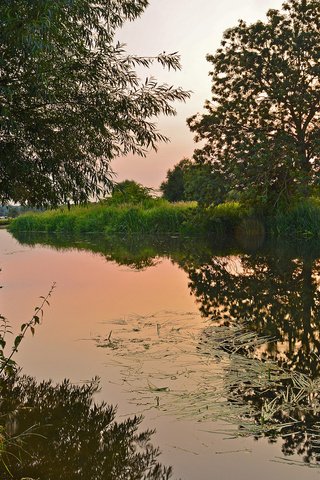 Обои деревья, вода, природа, закат, камыш, trees, water, nature, sunset, reed разрешение 1920x1200 Загрузить