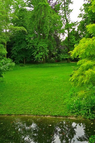 Обои трава, деревья, зелень, парк, пруд, франция, лужайка, albert-kahn japanese gardens, grass, trees, greens, park, pond, france, lawn разрешение 2592x1944 Загрузить