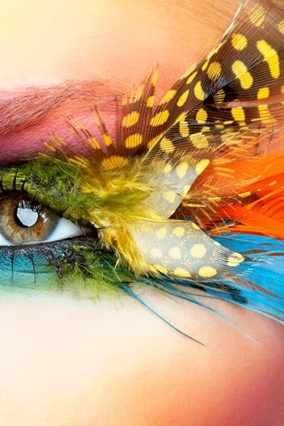 Обои стиль, макро, взгляд, лицо, перья, глаз, style, macro, look, face, feathers, eyes разрешение 5284x3744 Загрузить