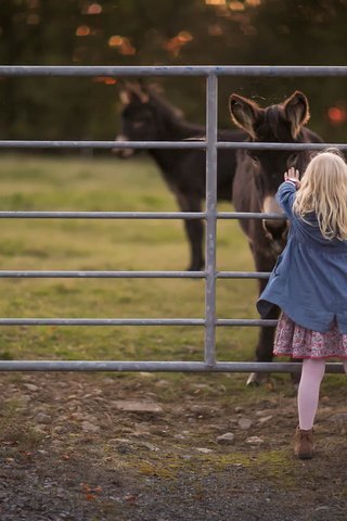 Обои девочка, the donkey whisperer, sandra jolly, ослики, girl, donkeys разрешение 1920x1280 Загрузить