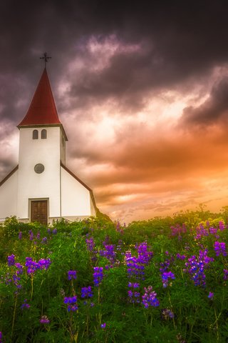 Обои цветы, закат, луг, церковь, исландия, люпины, flowers, sunset, meadow, church, iceland, lupins разрешение 2048x1365 Загрузить