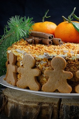 Обои корица, человечки, ель, печенье, торт, мандарины, медовик, cinnamon, men, spruce, cookies, cake, tangerines, honey разрешение 2018x1286 Загрузить