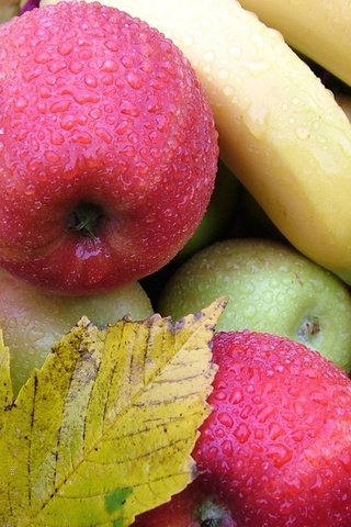 Обои листья, капли, фрукты, яблоки, бананы, leaves, drops, fruit, apples, bananas разрешение 1920x1242 Загрузить