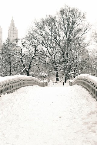 Обои снег, зима, мост, чёрно-белое, нью йорк, центральный парк, snow, winter, bridge, black and white, new york, central park разрешение 1920x1200 Загрузить