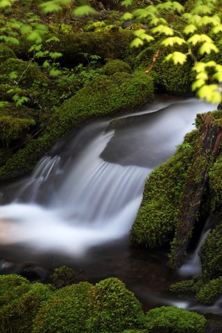 Обои вода, камни, зелень, поток, мох, water, stones, greens, stream, moss разрешение 2048x1464 Загрузить