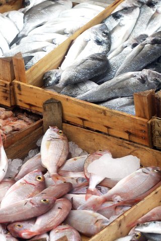 Обои рыба, дерева, ящики, разнообразие, свежая, коробочки, fresh fish, variety, fish, wood, boxes, diversity, fresh разрешение 2879x1725 Загрузить