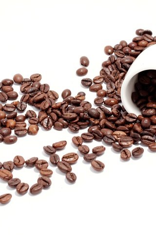 Обои зерна, кофе, белый фон, чашка, кофейные зерна, кубок, бобы, grain, coffee, white background, cup, coffee beans, beans разрешение 6765x4510 Загрузить