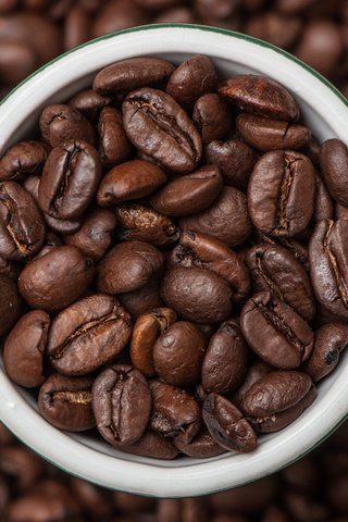 Обои зерна, кофе, чашка, grain, coffee, cup разрешение 2048x1360 Загрузить