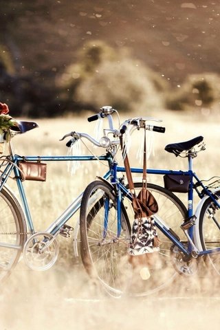 Обои цветы, трава, деревья, природа, велосипед, боке, flowers, grass, trees, nature, bike, bokeh разрешение 1920x1200 Загрузить