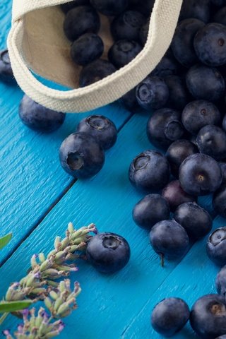 Обои цветок, еда, доски, ягоды, черника, черничный, flower, food, board, berries, blueberries, blueberry разрешение 5616x3744 Загрузить