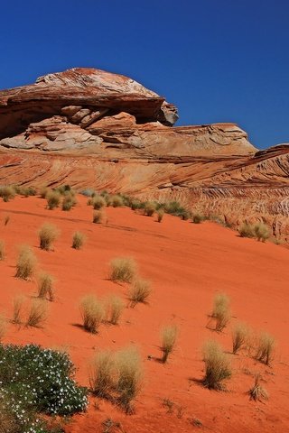 Обои скалы, песок, пустыня, сша, аризона, northern arizona, red rock, rocks, sand, desert, usa, az разрешение 2048x1250 Загрузить
