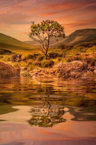 Обои вода, озеро, горы, дерево, закат, отражение, рябина, sophiaspurgin, water, lake, mountains, tree, sunset, reflection, rowan разрешение 4470x4470 Загрузить