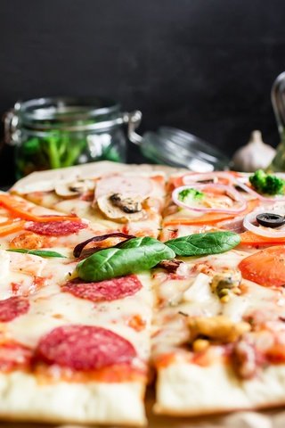Обои овощи, ассорти, мясо, шампиньоны, выпечка, помидоры, соус, пицца, тесто, специи, vegetables, cuts, meat, mushrooms, cakes, tomatoes, sauce, pizza, the dough, spices разрешение 5433x3622 Загрузить